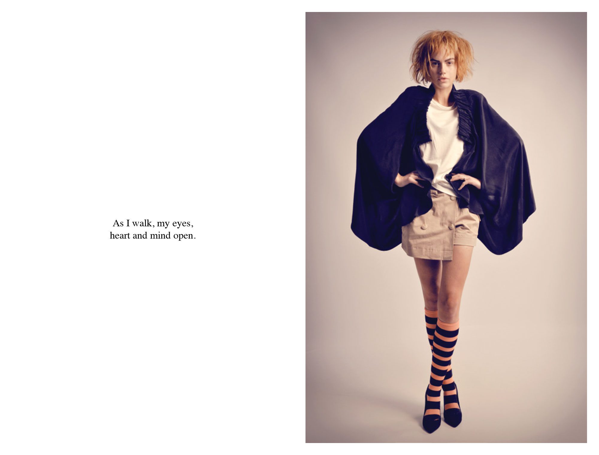 AW 2011/12