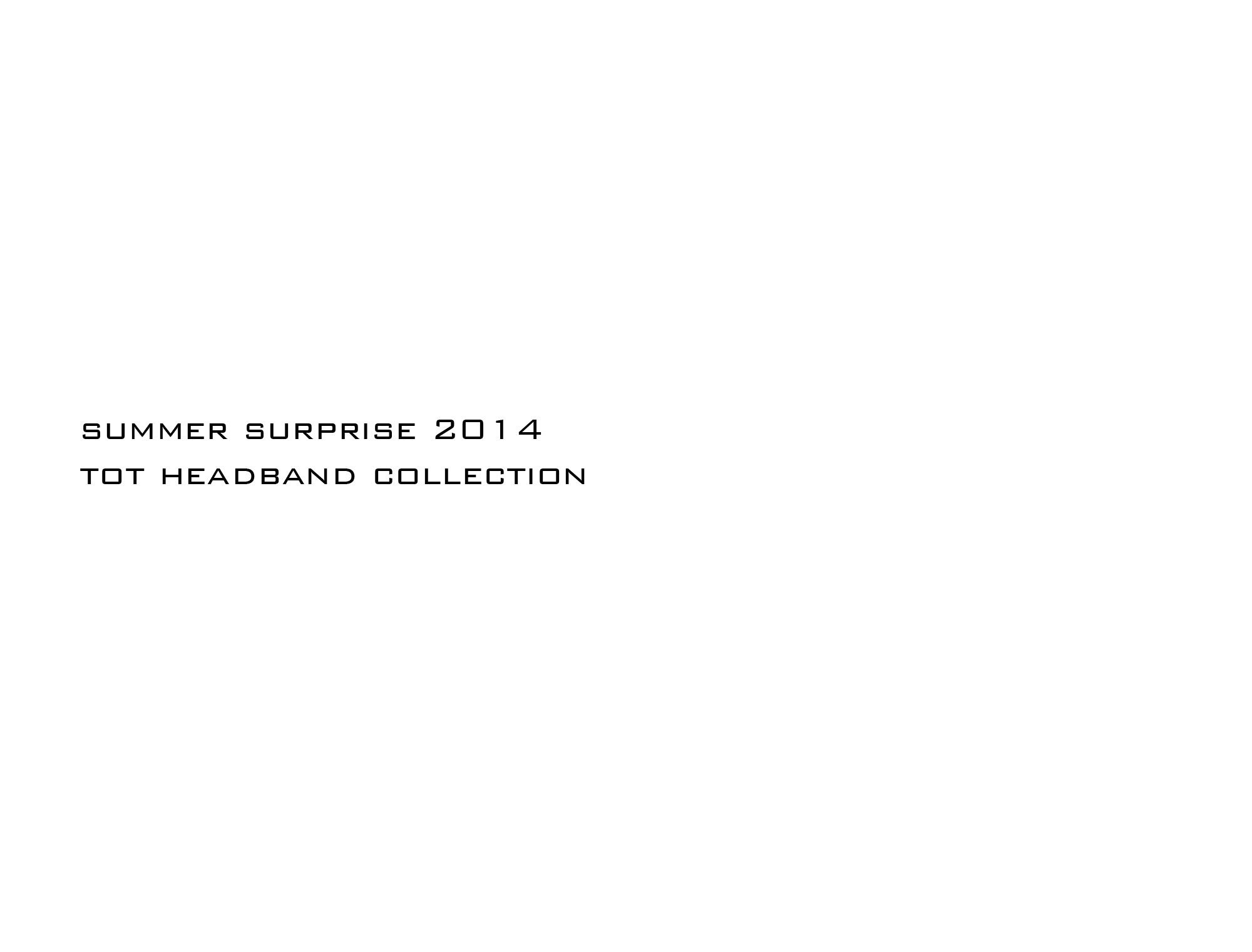 SS 2014